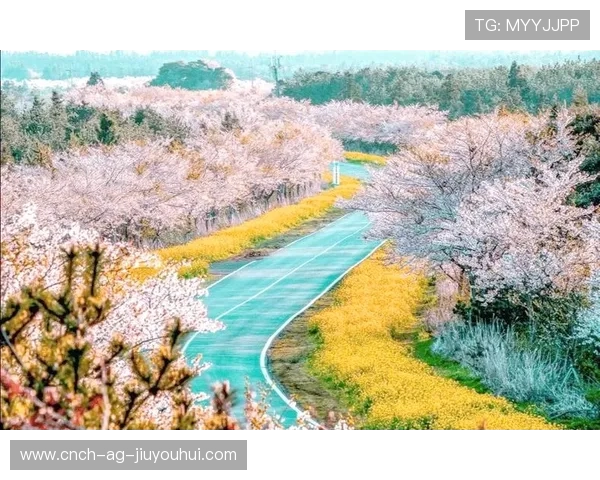 以好看旋转足球樱花为中心的唯美春日动感主题视觉创意魅力探索之旅